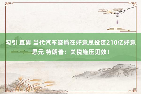 勾引 直男 当代汽车晓喻在好意思投资210亿好意思元 特朗普：关税施压见效！