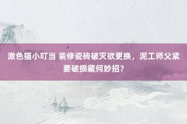 激色猫小叮当 装修瓷砖破灭欲更换，泥工师父紧要破损藏何妙招？