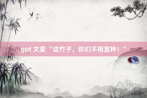 gpt 文爱 “这竹子，你们不相宜种！”