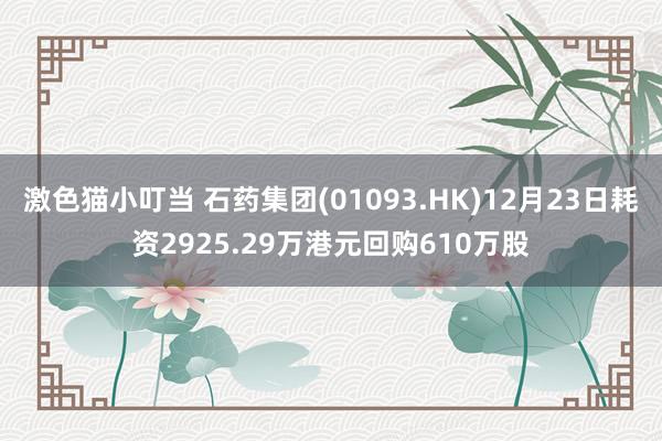 激色猫小叮当 石药集团(01093.HK)12月23日耗资2925.29万港元回购610万股