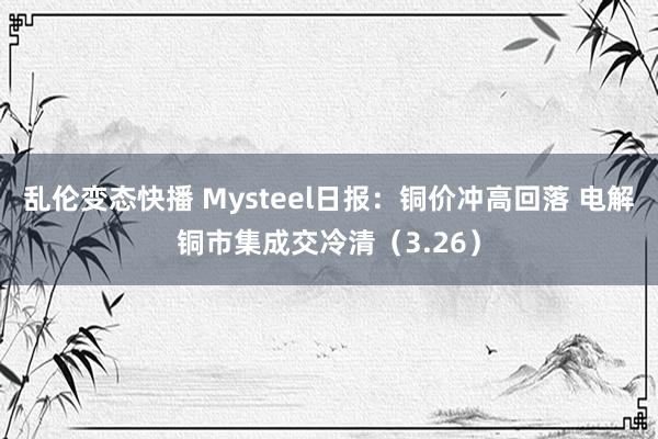 乱伦变态快播 Mysteel日报：铜价冲高回落 电解铜市集成交冷清（3.26）