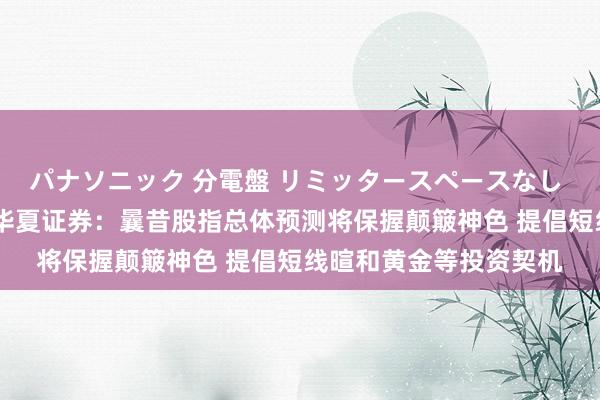 パナソニック 分電盤 リミッタースペースなし 露出・半埋込両用形 华夏证券：曩昔股指总体预测将保握颠簸神色 提倡短线暄和黄金等投资契机