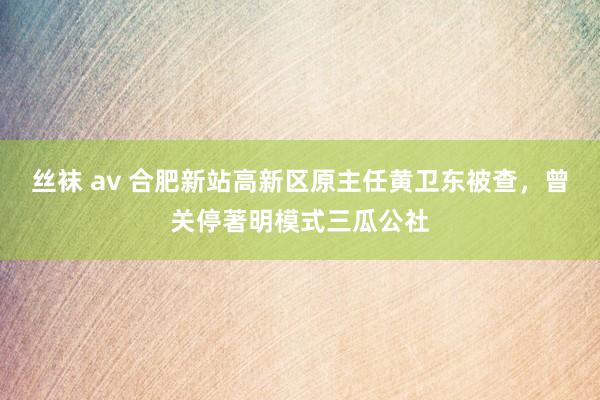 丝袜 av 合肥新站高新区原主任黄卫东被查，曾关停著明模式三瓜公社