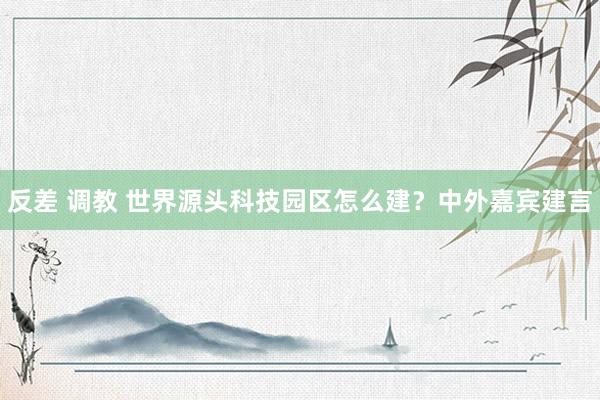 反差 调教 世界源头科技园区怎么建？中外嘉宾建言