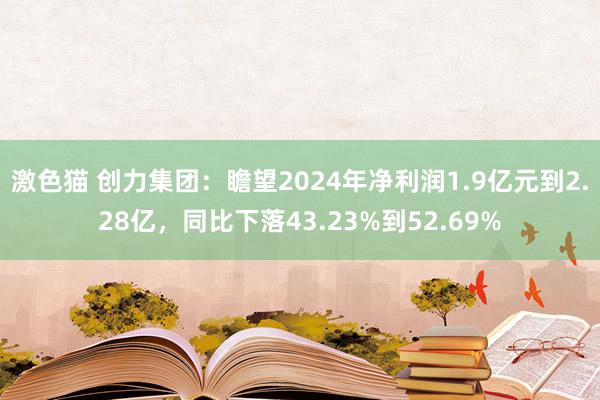 激色猫 创力集团：瞻望2024年净利润1.9亿元到2.28亿，同比下落43.23%到52.69%