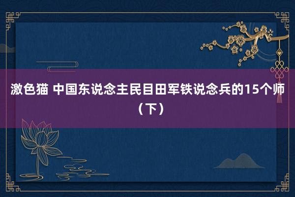 激色猫 中国东说念主民目田军铁说念兵的15个师（下）