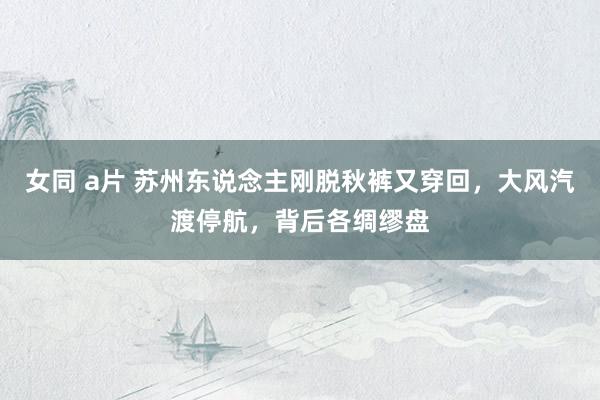 女同 a片 苏州东说念主刚脱秋裤又穿回，大风汽渡停航，背后各绸缪盘