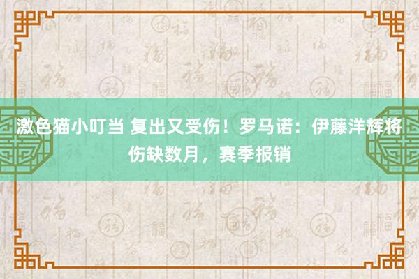 激色猫小叮当 复出又受伤！罗马诺：伊藤洋辉将伤缺数月，赛季报销