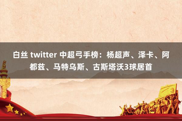 白丝 twitter 中超弓手榜：杨超声、泽卡、阿都兹、马特乌斯、古斯塔沃3球居首
