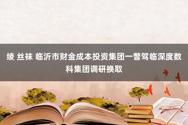 绫 丝袜 临沂市财金成本投资集团一瞥驾临深度数科集团调研换取