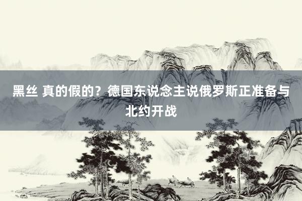 黑丝 真的假的？德国东说念主说俄罗斯正准备与北约开战