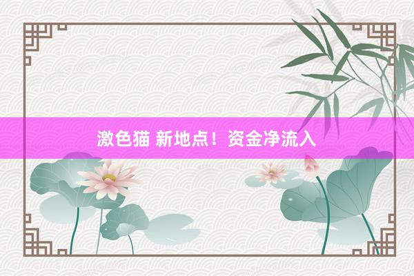 激色猫 新地点！资金净流入