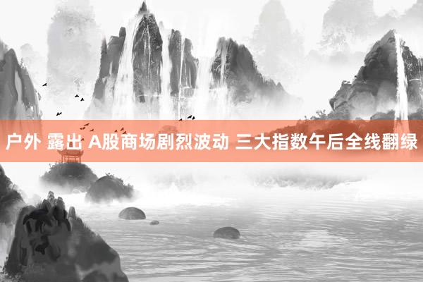 户外 露出 A股商场剧烈波动 三大指数午后全线翻绿