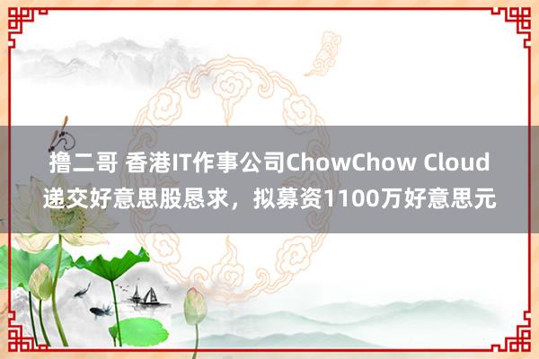 撸二哥 香港IT作事公司ChowChow Cloud递交好意思股恳求，拟募资1100万好意思元