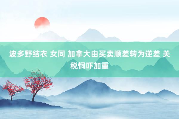 波多野结衣 女同 加拿大由买卖顺差转为逆差 关税恫吓加重