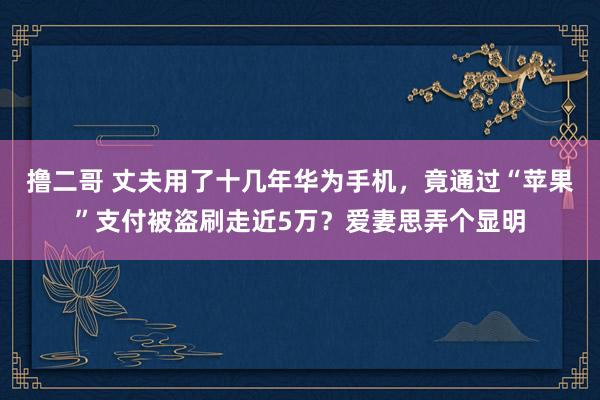 撸二哥 丈夫用了十几年华为手机，竟通过“苹果”支付被盗刷走近5万？爱妻思弄个显明