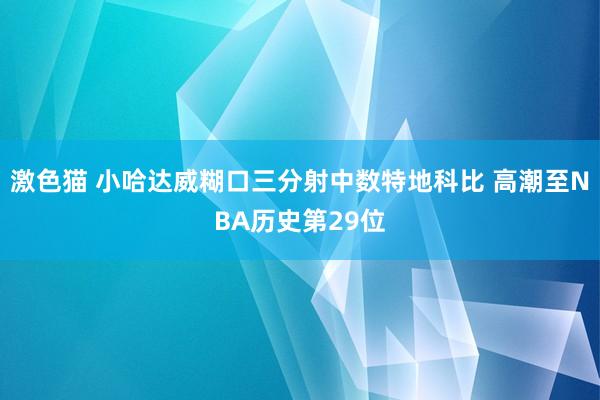 激色猫 小哈达威糊口三分射中数特地科比 高潮至NBA历史第29位