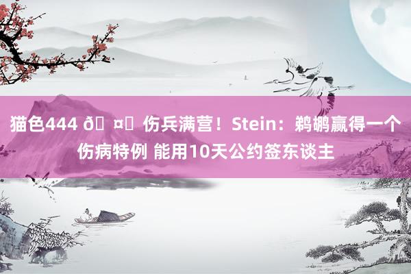 猫色444 🤕伤兵满营！Stein：鹈鹕赢得一个伤病特例 能用10天公约签东谈主