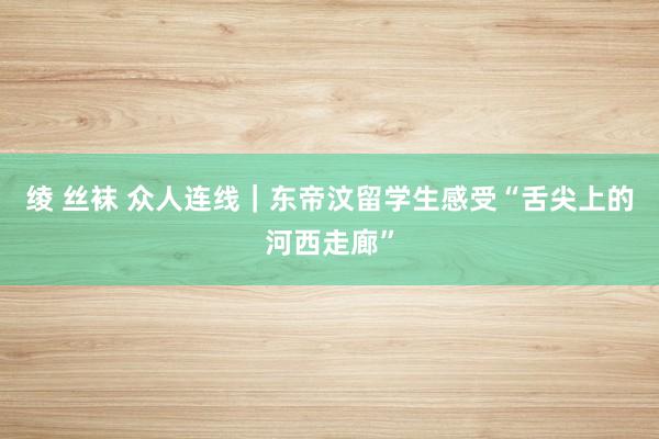 绫 丝袜 众人连线｜东帝汶留学生感受“舌尖上的河西走廊”