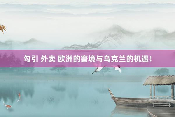 勾引 外卖 欧洲的窘境与乌克兰的机遇！