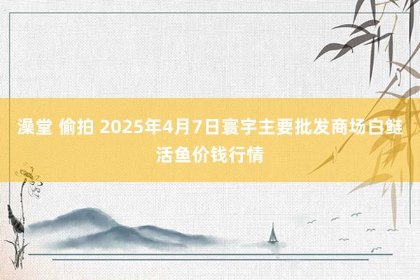 澡堂 偷拍 2025年4月7日寰宇主要批发商场白鲢活鱼价钱行情
