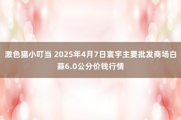 激色猫小叮当 2025年4月7日寰宇主要批发商场白蒜6.0公分价钱行情