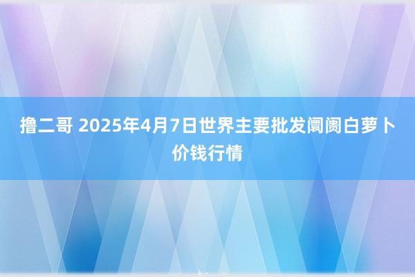 撸二哥 2025年4月7日世界主要批发阛阓白萝卜价钱行情