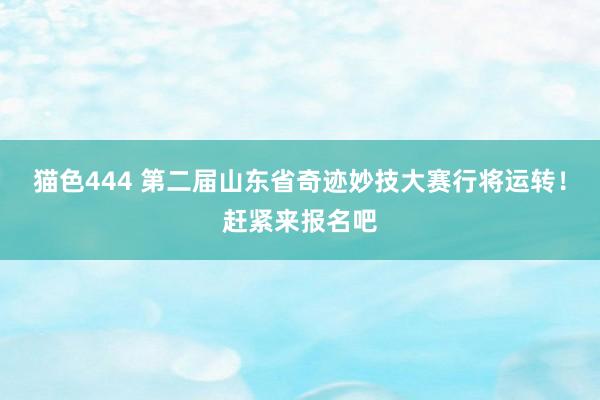 猫色444 第二届山东省奇迹妙技大赛行将运转！赶紧来报名吧