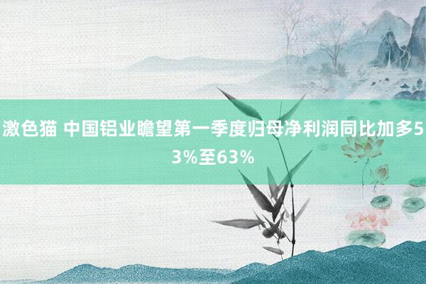 激色猫 中国铝业瞻望第一季度归母净利润同比加多53%至63%
