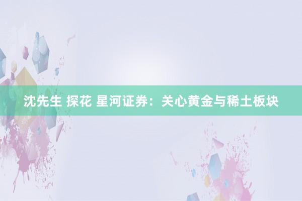 沈先生 探花 星河证券：关心黄金与稀土板块