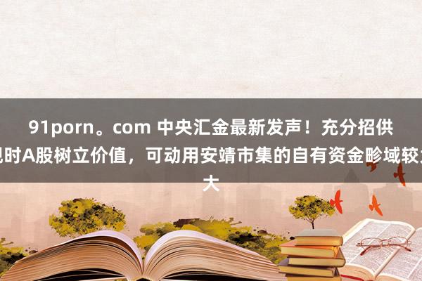 91porn。com 中央汇金最新发声！充分招供现时A股树立价值，可动用安靖市集的自有资金畛域较大