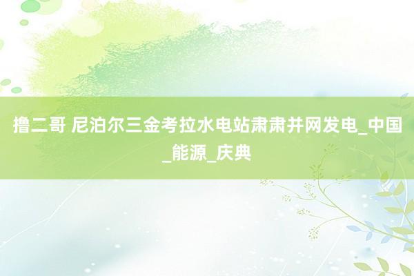撸二哥 尼泊尔三金考拉水电站肃肃并网发电_中国_能源_庆典