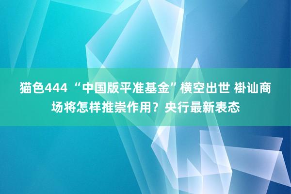 猫色444 “中国版平准基金”横空出世 褂讪商场将怎样推崇作用？央行最新表态