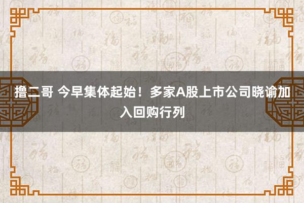 撸二哥 今早集体起始！多家A股上市公司晓谕加入回购行列