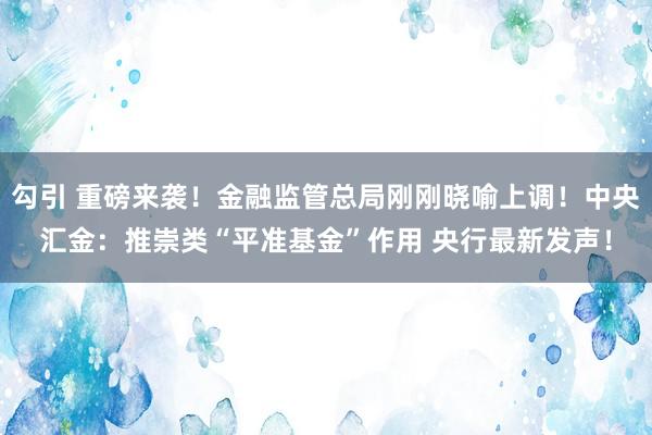勾引 重磅来袭！金融监管总局刚刚晓喻上调！中央汇金：推崇类“平准基金”作用 央行最新发声！
