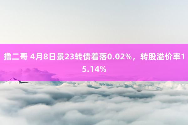 撸二哥 4月8日景23转债着落0.02%，转股溢价率15.14%