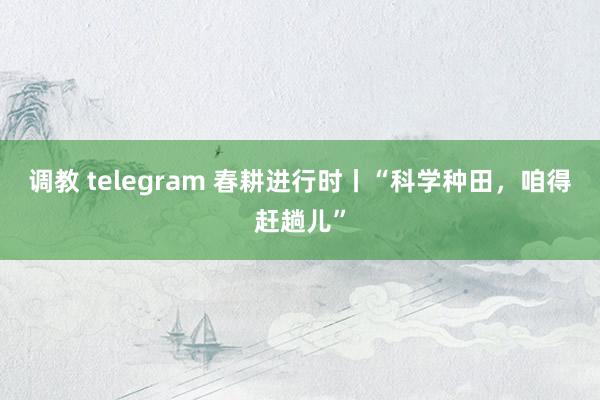 调教 telegram 春耕进行时丨“科学种田，咱得赶趟儿”