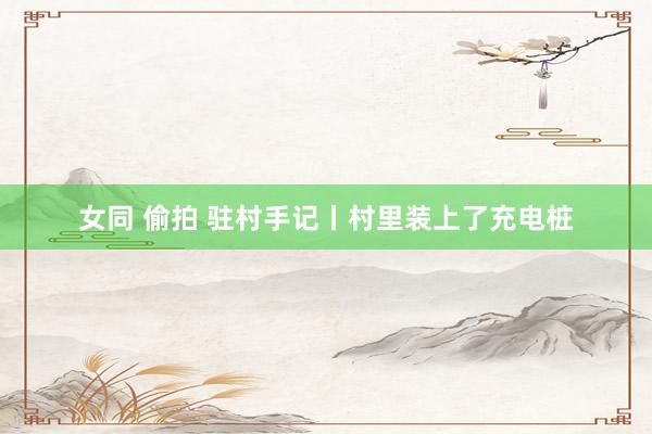女同 偷拍 驻村手记丨村里装上了充电桩