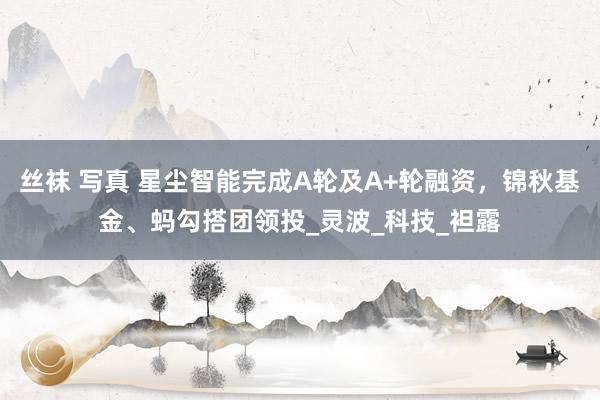丝袜 写真 星尘智能完成A轮及A+轮融资，锦秋基金、蚂勾搭团领投_灵波_科技_袒露