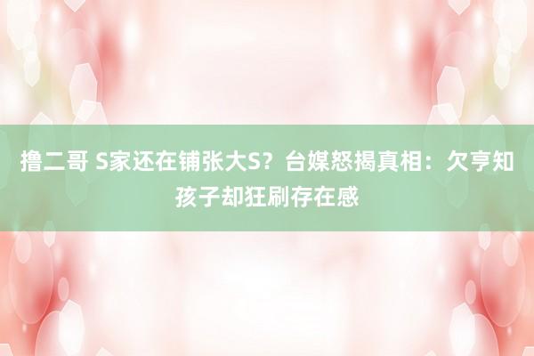 撸二哥 S家还在铺张大S？台媒怒揭真相：欠亨知孩子却狂刷存在感