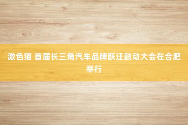 激色猫 首届长三角汽车品牌跃迁鼓动大会在合肥举行
