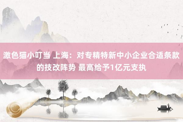 激色猫小叮当 上海：对专精特新中小企业合适条款的技改阵势 最高给予1亿元支执