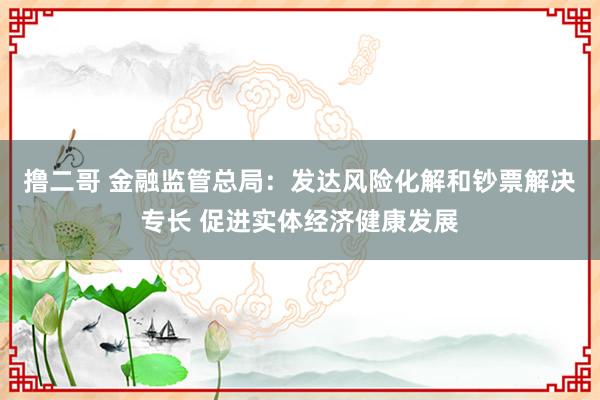 撸二哥 金融监管总局：发达风险化解和钞票解决专长 促进实体经济健康发展