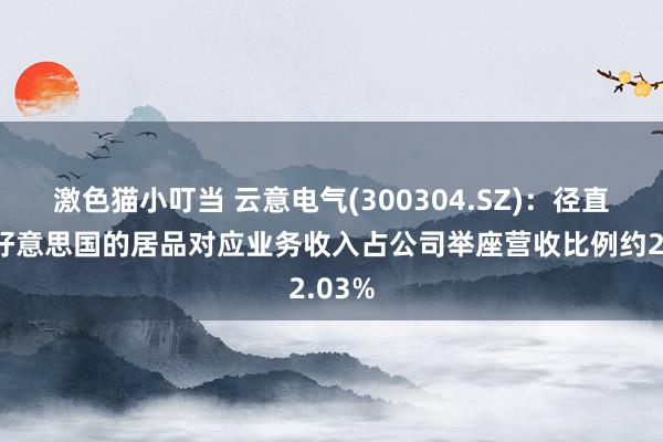 激色猫小叮当 云意电气(300304.SZ)：径直出口好意思国的居品对应业务收入占公司举座营收比例约2.03%