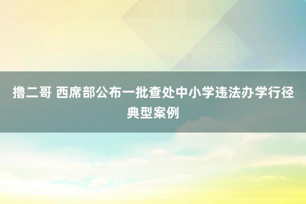 撸二哥 西席部公布一批查处中小学违法办学行径典型案例