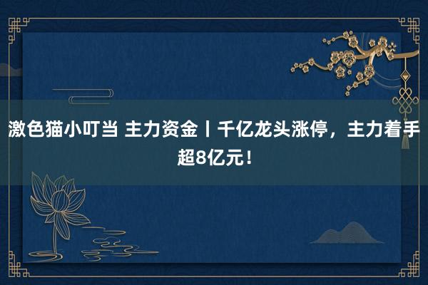 激色猫小叮当 主力资金丨千亿龙头涨停，主力着手超8亿元！