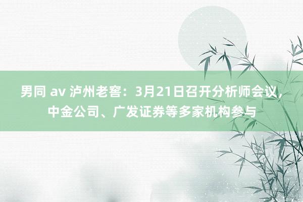 男同 av 泸州老窖：3月21日召开分析师会议，中金公司、广发证券等多家机构参与