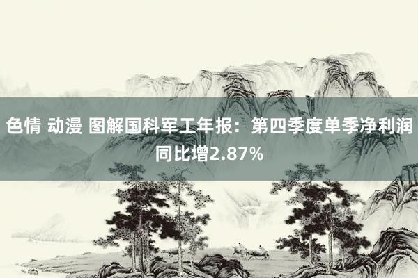 色情 动漫 图解国科军工年报：第四季度单季净利润同比增2.87%