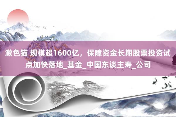 激色猫 规模超1600亿，保障资金长期股票投资试点加快落地_基金_中国东谈主寿_公司