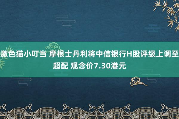 激色猫小叮当 摩根士丹利将中信银行H股评级上调至超配 观念价7.30港元